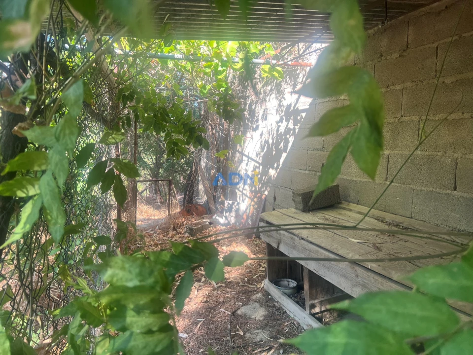 Quinta para Venda em Castelo Branco Foto 11