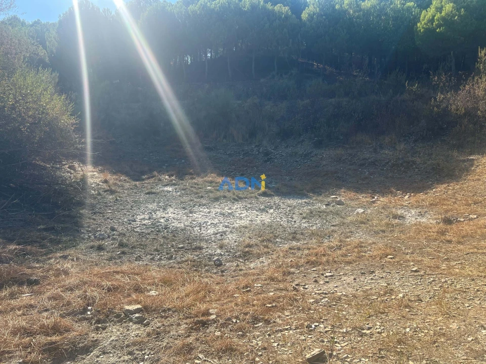 Quinta para Venda em Castelo Branco Foto 19