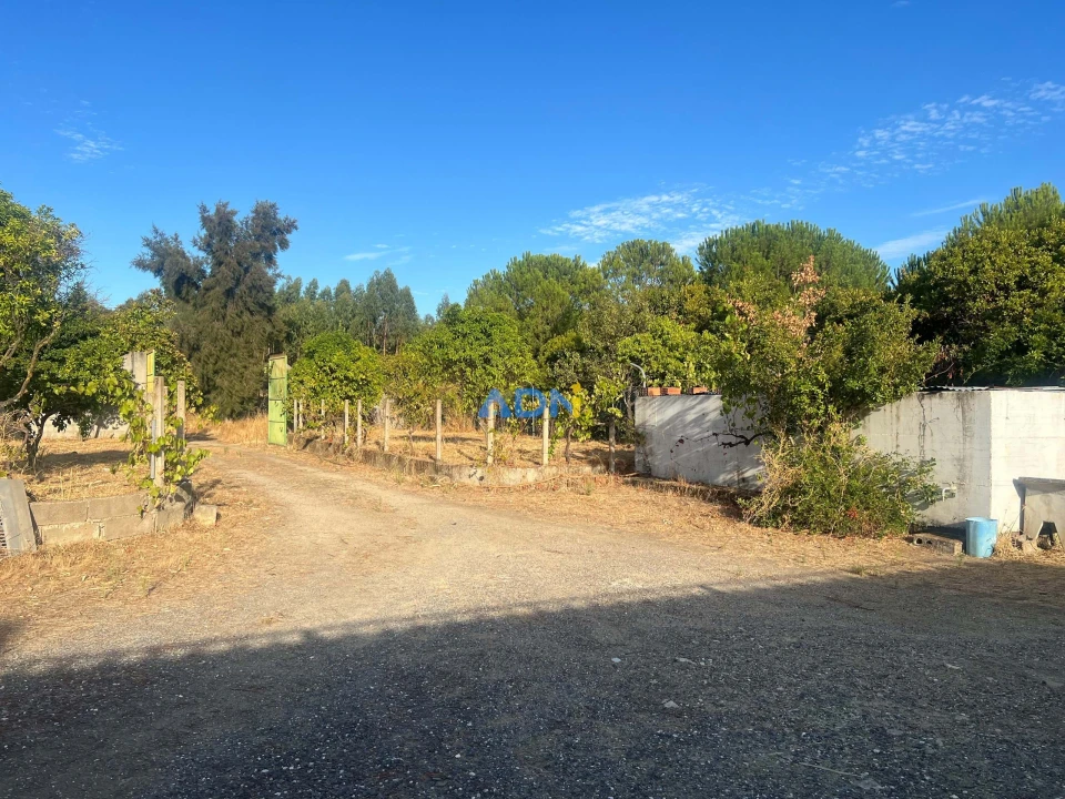 Quinta para Venda em Castelo Branco Foto 3