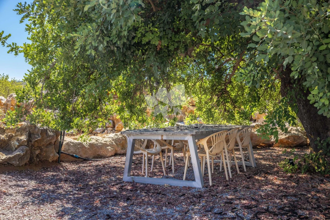 Quinta T3 para Venda em Santa Catarina da Fonte do Bispo Foto 23