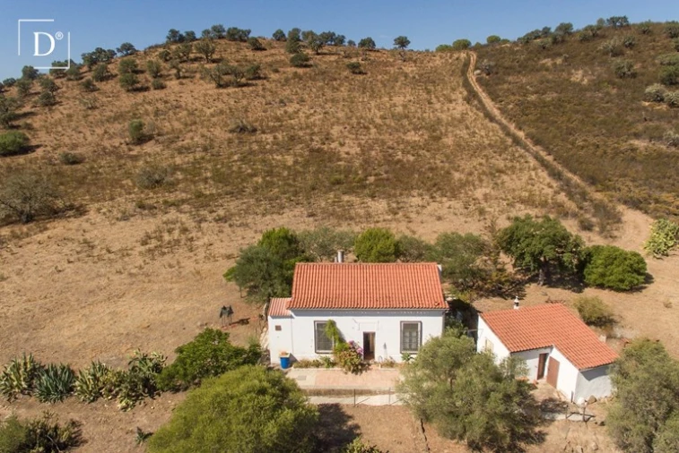 Moradia T2 para Venda em Mertola Foto 23