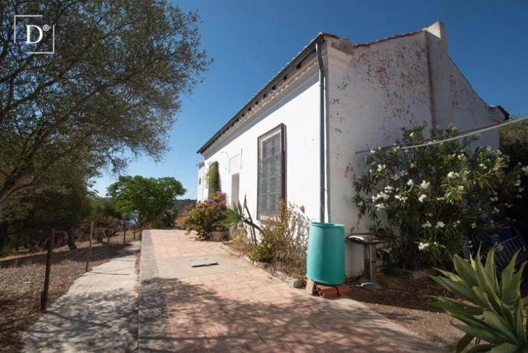 Moradia T2 para Venda em Mertola Foto 3