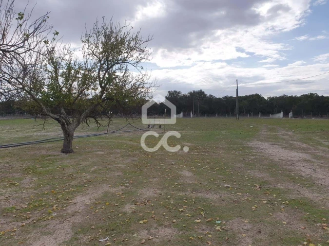 Moradia T4 para Venda em Poceirão e Marateca Foto 7