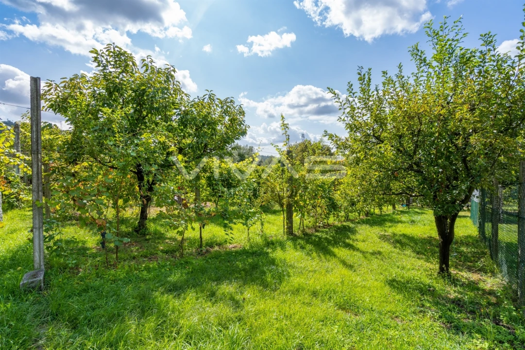 Moradia T4 para Venda em Crespos e Pousada Foto 46