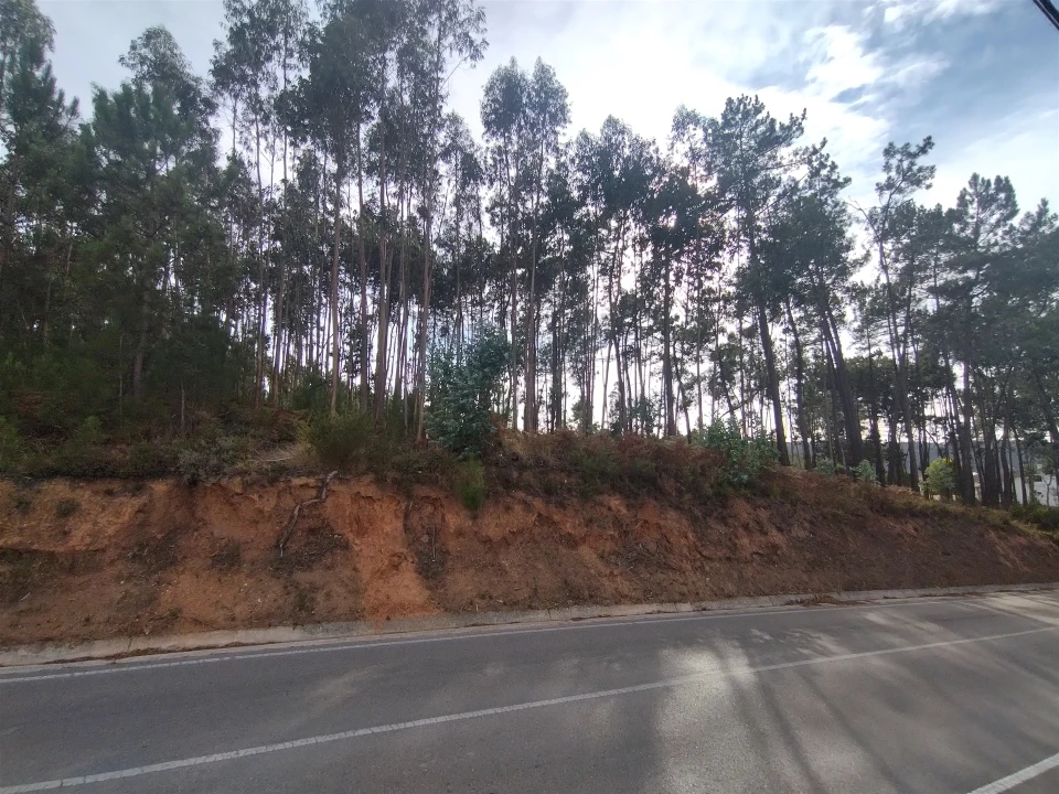 Terreno para Venda em Caranguejeira Foto 3
