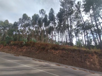 Terreno para Venda em Caranguejeira