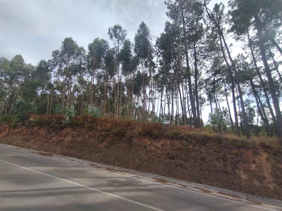 Terreno para Venda em Caranguejeira Foto 1