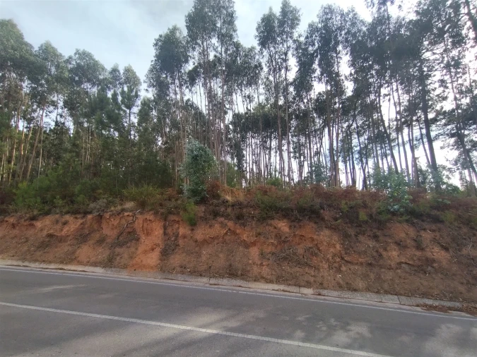 Terreno para Venda em Caranguejeira Foto 2