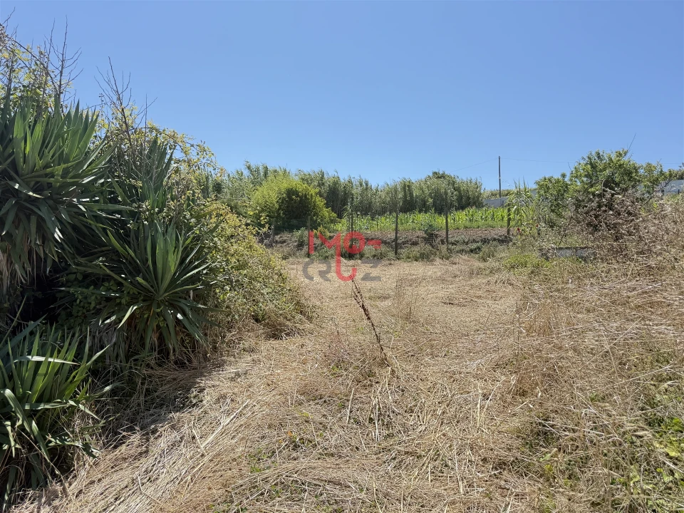 Terreno para Venda em Caldas da Rainha - Santo Onofre e Serra do Bouro Foto 13