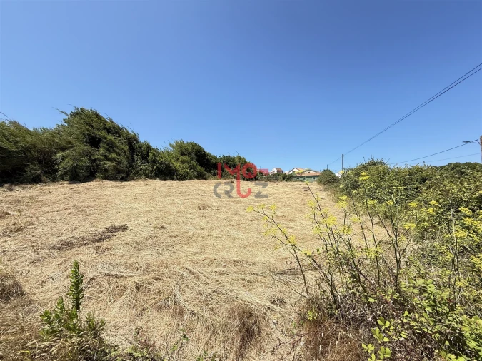 Terreno para Venda em Caldas da Rainha - Santo Onofre e Serra do Bouro Foto 2