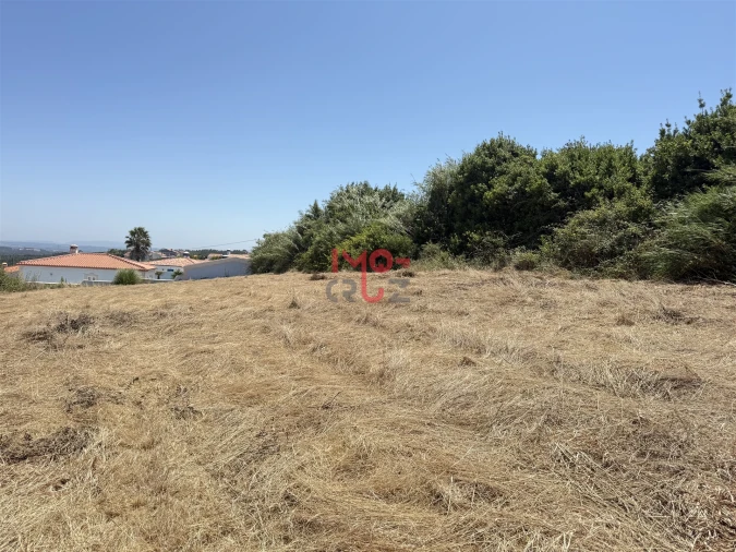 Terreno para Venda em Caldas da Rainha - Santo Onofre e Serra do Bouro Foto 7