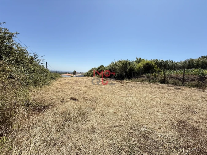 Terreno para Venda em Caldas da Rainha - Santo Onofre e Serra do Bouro Foto 10