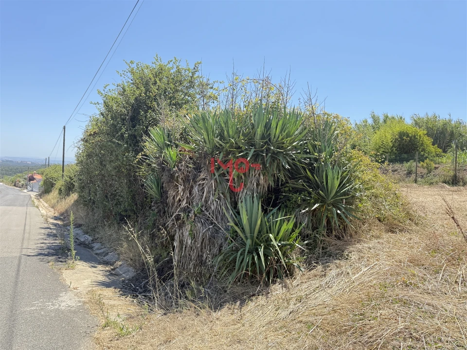 Terreno para Venda em Caldas da Rainha - Santo Onofre e Serra do Bouro Foto 14