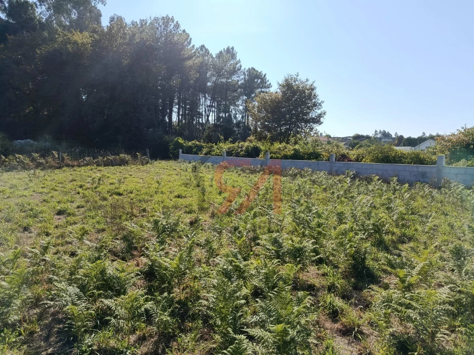Terreno para Venda em Paços de Ferreira Foto 4