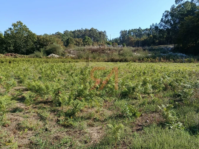 Terreno para Venda em Paços de Ferreira Foto 5
