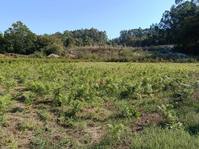 Terreno para Venda em Paços de Ferreira Foto 7