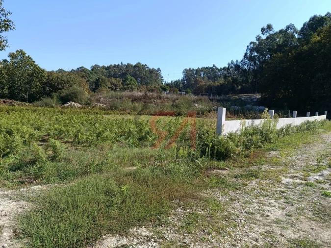 Terreno para Venda em Paços de Ferreira Foto 6
