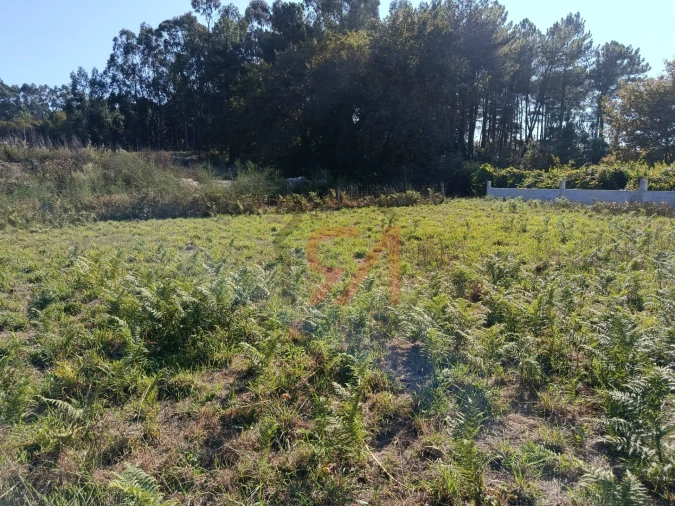 Terreno para Venda em Paços de Ferreira Foto 3