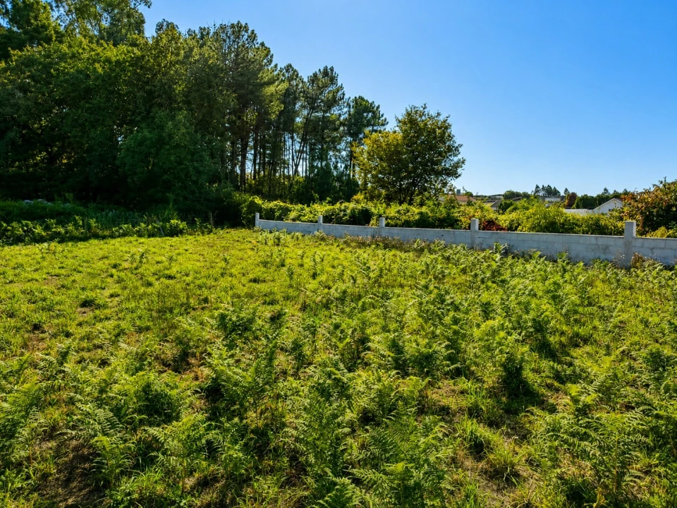Terreno para Venda em Paços de Ferreira Foto 3