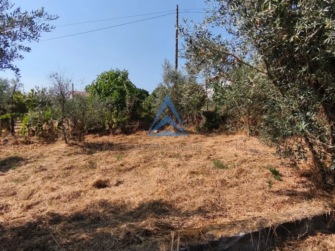 Moradia T0 para Venda em Vila Facaia Foto 18