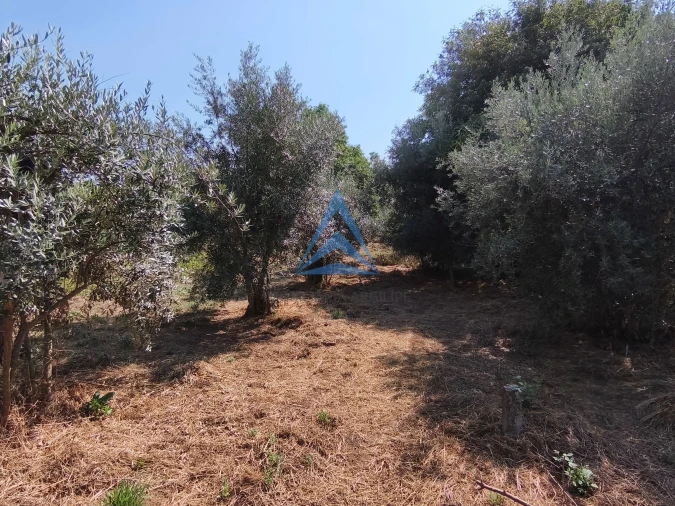 Moradia T0 para Venda em Vila Facaia Foto 20