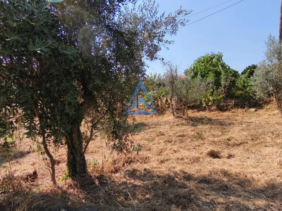 Moradia T0 para Venda em Vila Facaia Foto 19