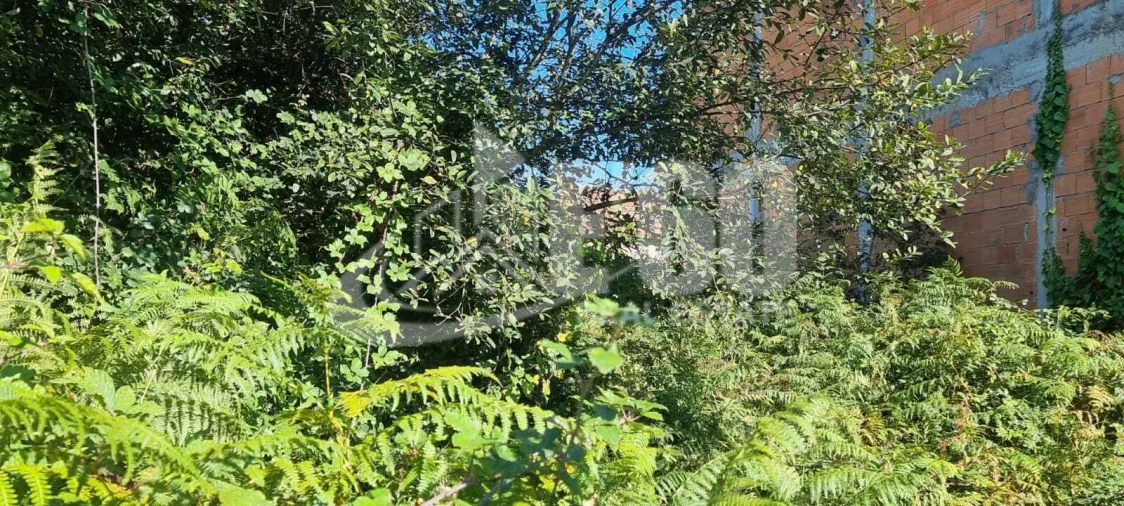 Terreno para Venda em Mozelos Foto 6