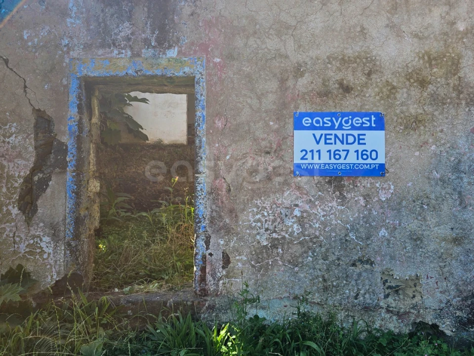 Terreno para Venda em Remedios Foto 10