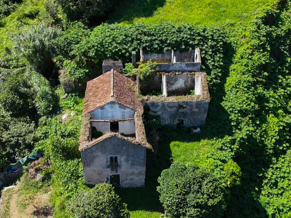 Terreno para Venda em Remedios Foto 11