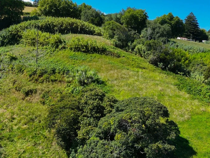 Terreno para Venda em Remedios Foto 19