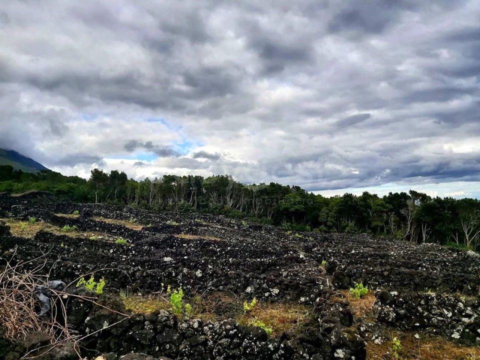 Terreno para Venda em São Mateus Foto 2
