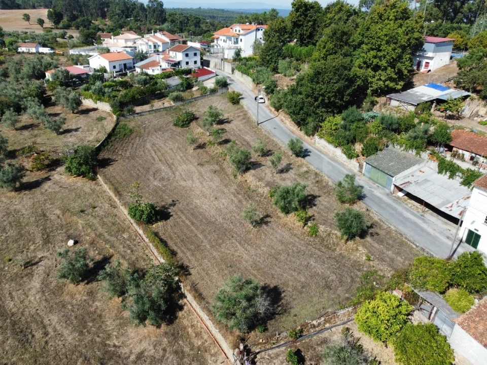 Terreno Agricola ou Rústico para Venda em Tabua Foto 2