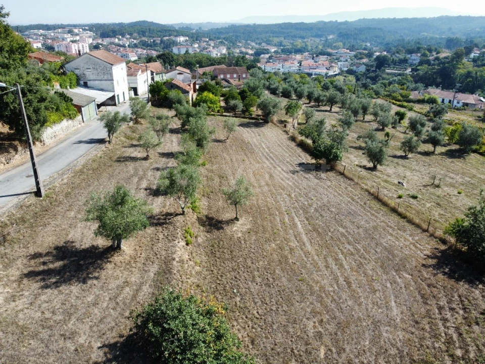 Terreno Agricola ou Rústico para Venda em Tabua Foto 4