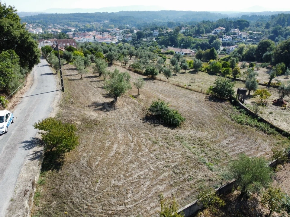 Terreno Agricola ou Rústico para Venda em Tabua Foto 6