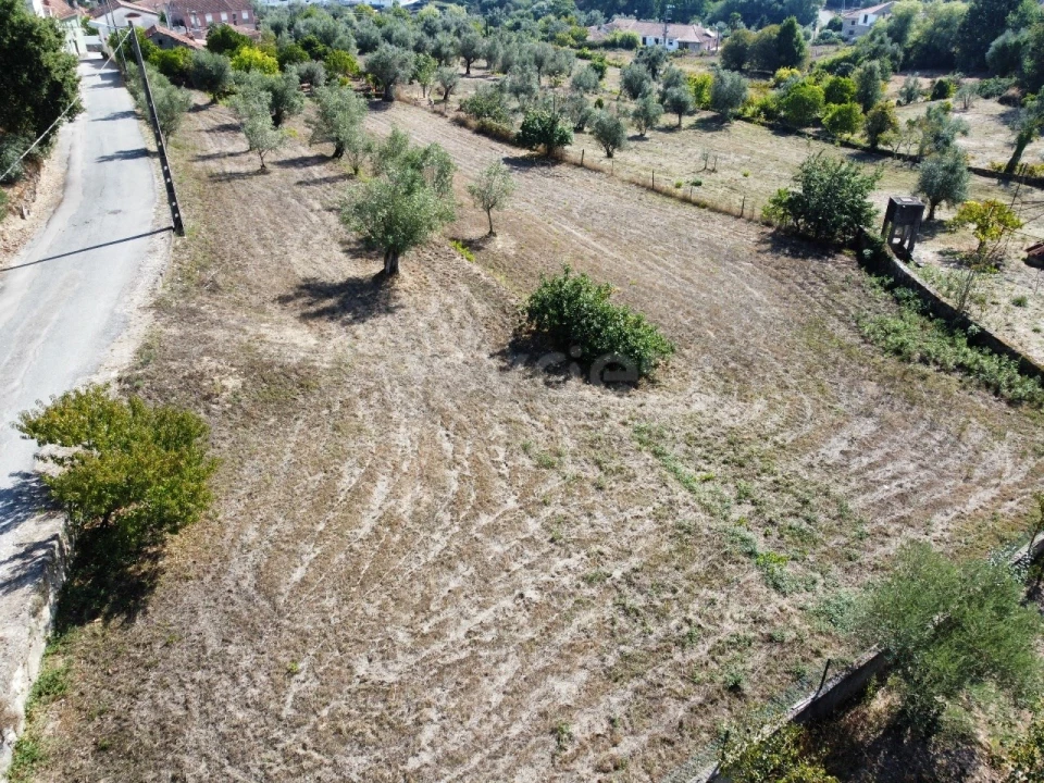 Terreno Agricola ou Rústico para Venda em Tabua Foto 7