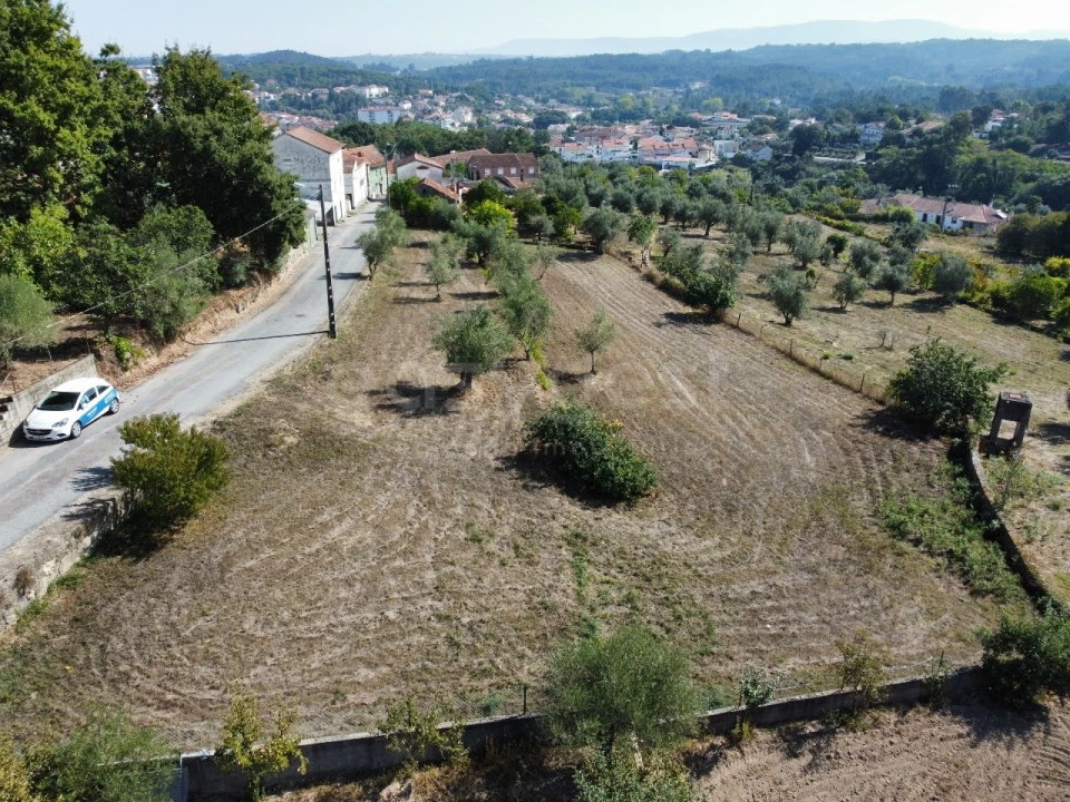 Terreno Agricola ou Rústico para Venda em Tabua Foto 8