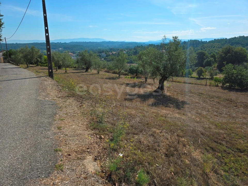 Terreno Agricola ou Rústico para Venda em Tabua Foto 14