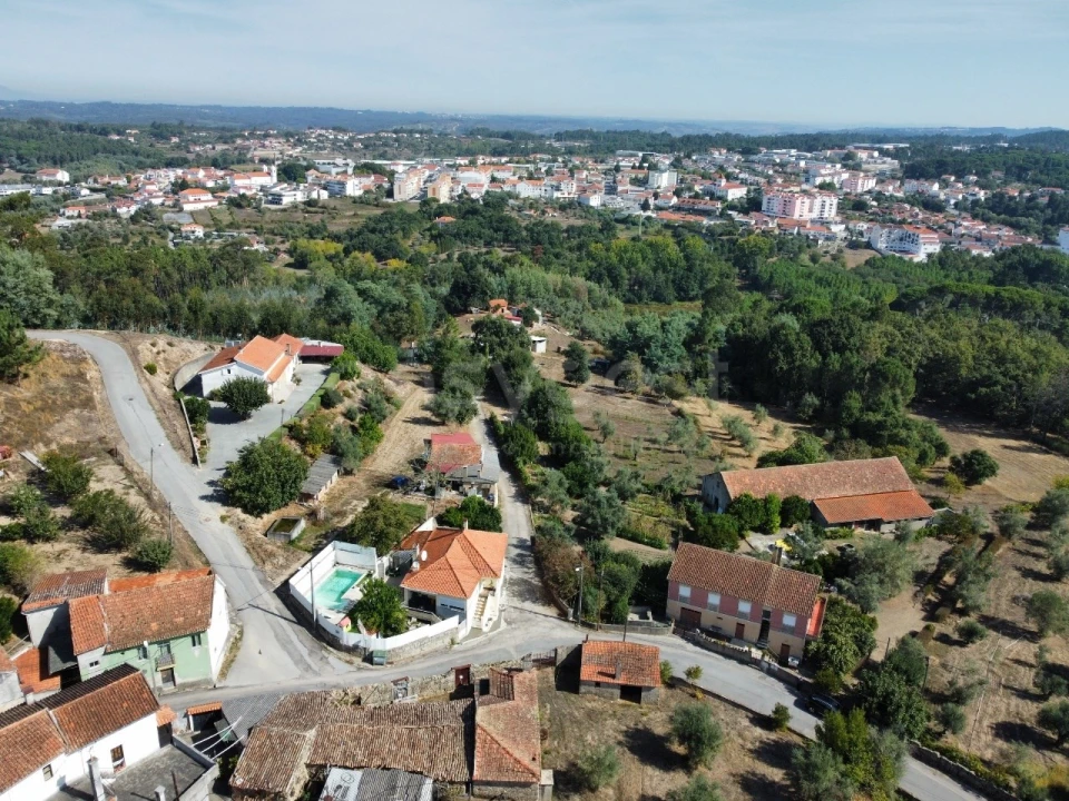 Terreno Agricola ou Rústico para Venda em Tabua Foto 16