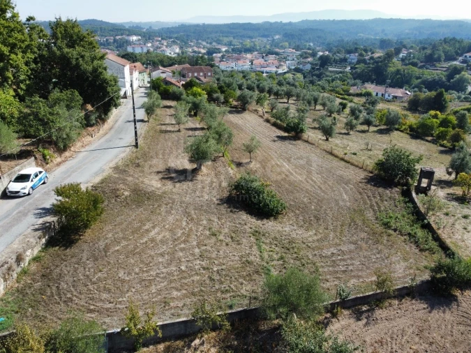Terreno Agricola ou Rústico para Venda em Tabua Foto 5