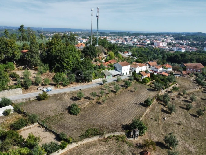 Terreno Agricola ou Rústico para Venda em Tabua Foto 9