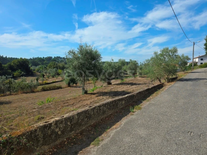 Terreno Agricola ou Rústico para Venda em Tabua Foto 11