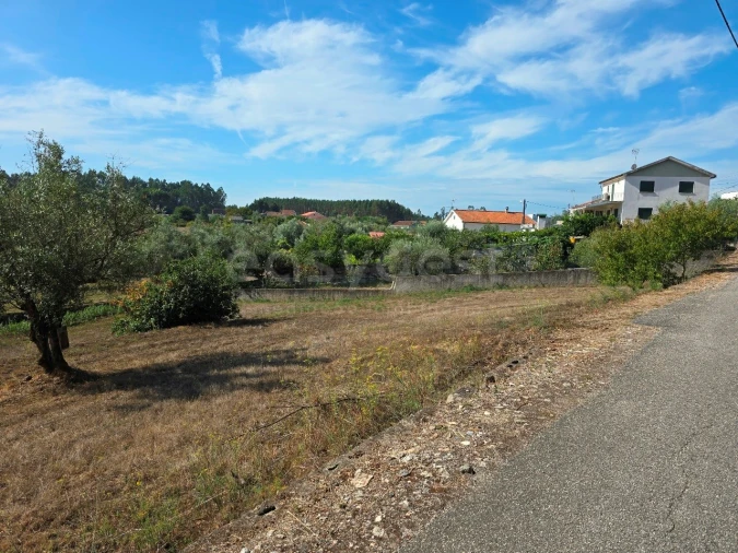 Terreno Agricola ou Rústico para Venda em Tabua Foto 12