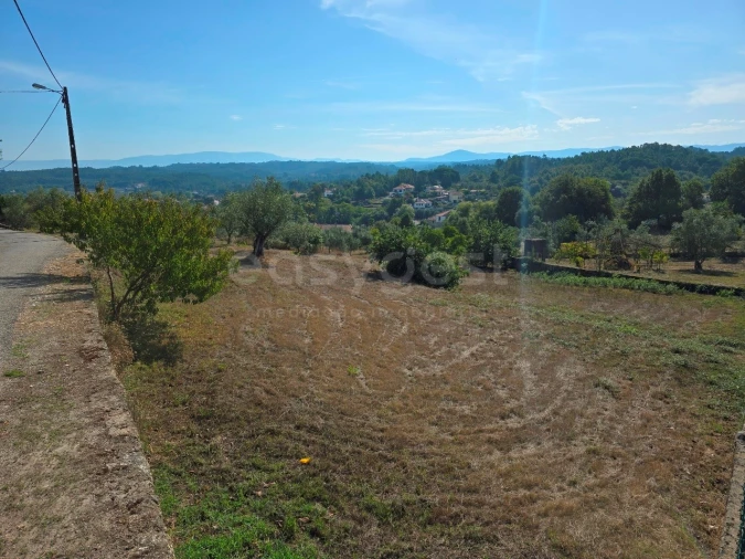 Terreno Agricola ou Rústico para Venda em Tabua Foto 13