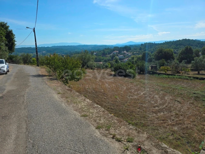 Terreno Agricola ou Rústico para Venda em Tabua Foto 15