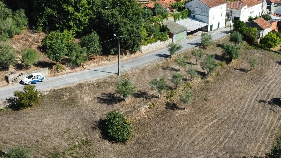 Terreno Agricola ou Rústico para Venda em Tabua