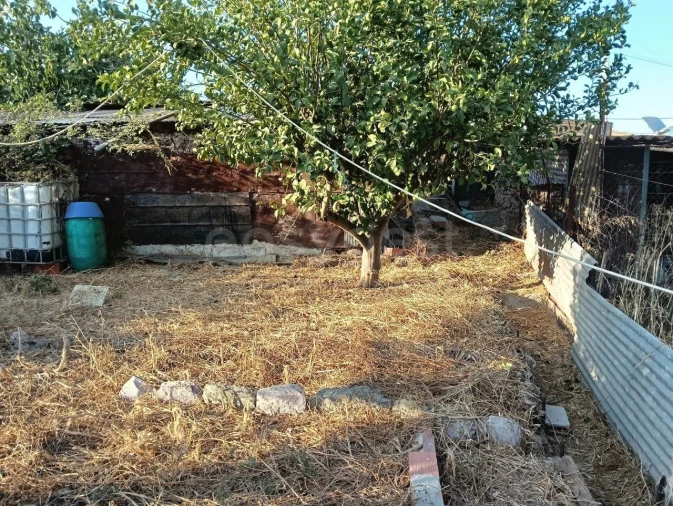 Moradia T1 para Venda em Aljustrel e Rio de Moinhos Foto 12