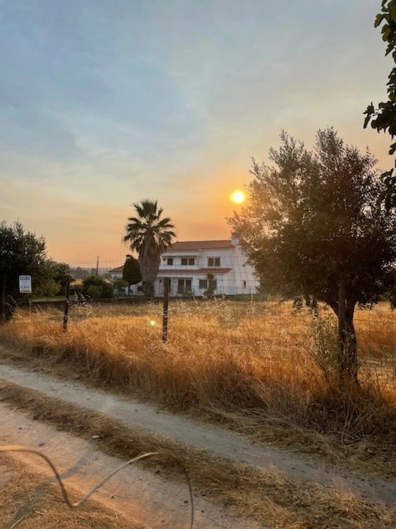 Terreno Agricola ou Rústico para Venda em Ponte de Sor, Tramaga e Vale de Açor Foto 3