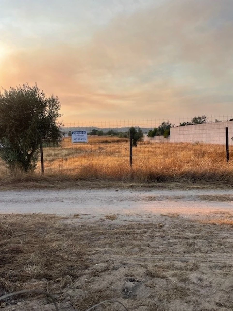 Terreno Agricola ou Rústico para Venda em Ponte de Sor, Tramaga e Vale de Açor Foto 2
