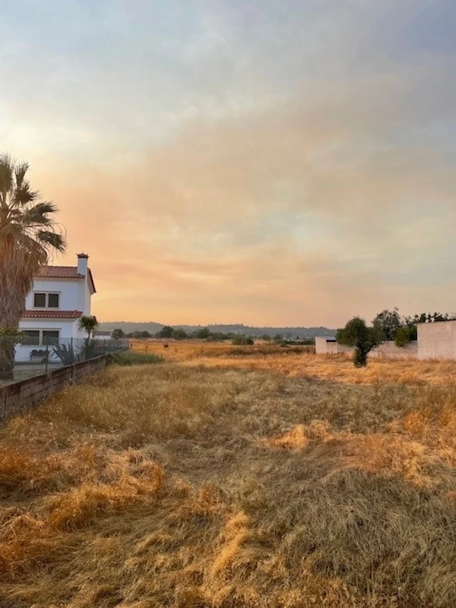 Terreno Agricola ou Rústico para Venda em Ponte de Sor, Tramaga e Vale de Açor Foto 4