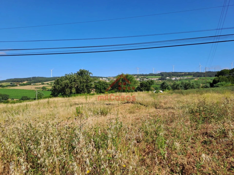 Terreno para Venda em Carvoeira e Carmões Foto 4